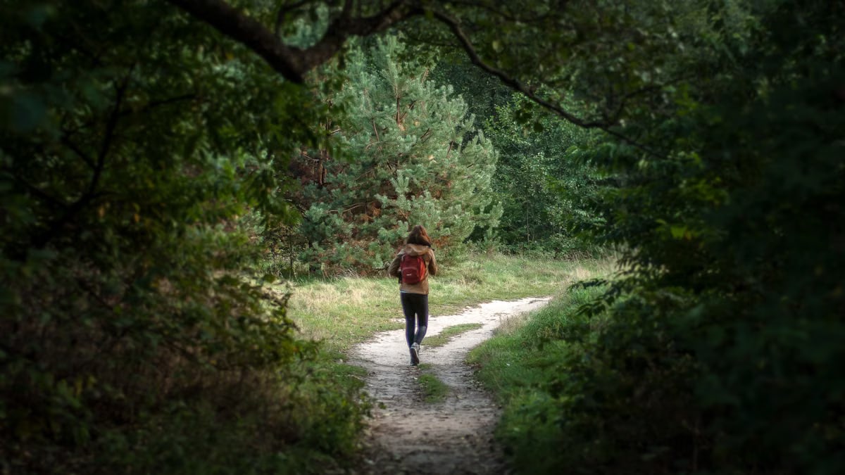 Anonymous distant backpacker with rucksack strolling on trail in woods with lush green trees during trekking in nature on summer day